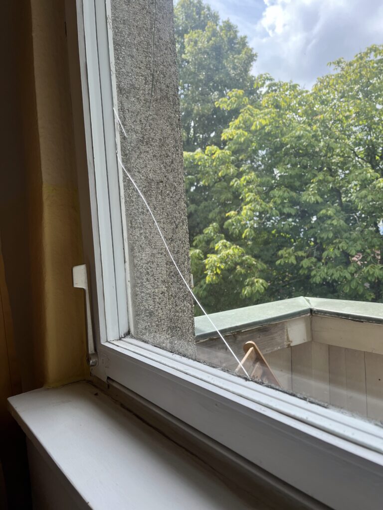 Hofgut Leo, Ökonomie, gelebte Regeneration, Projekte, Neue Fenster, Ökologisches Bauen & Sarnieren