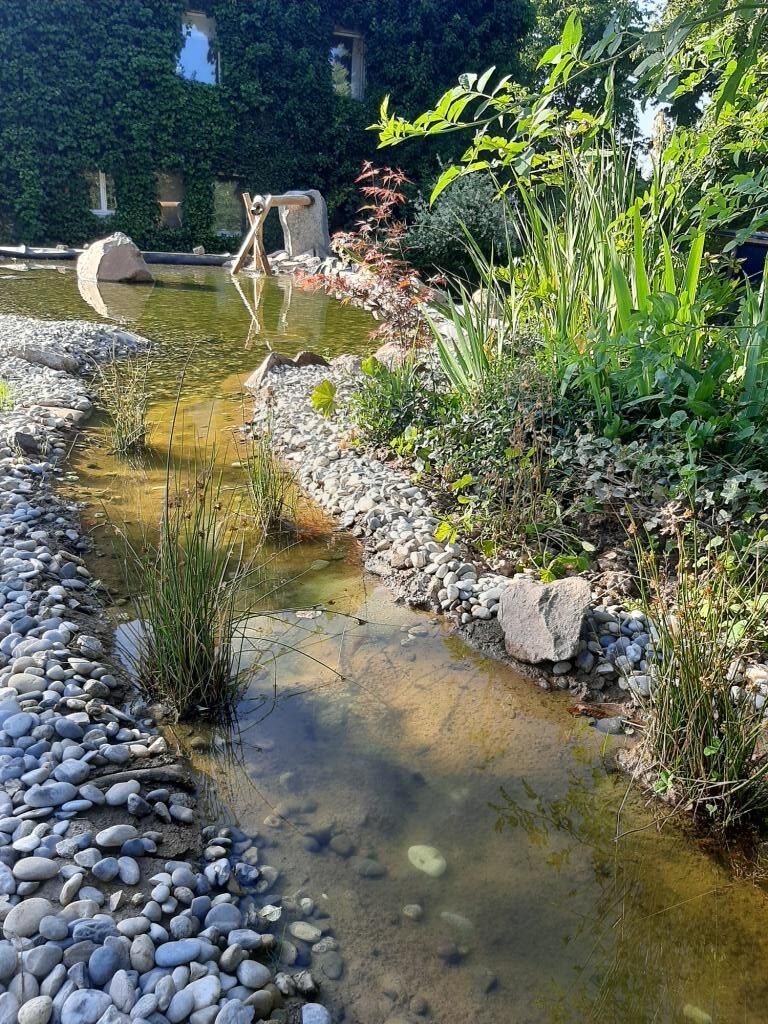Garten Hofgut Leo, Biosphärenprojekt, Naturgarten, Wasser-Nutz-Garten, Teich