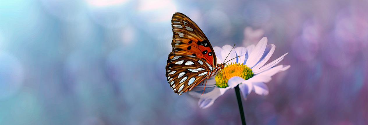 deine_bestimmung_spüren